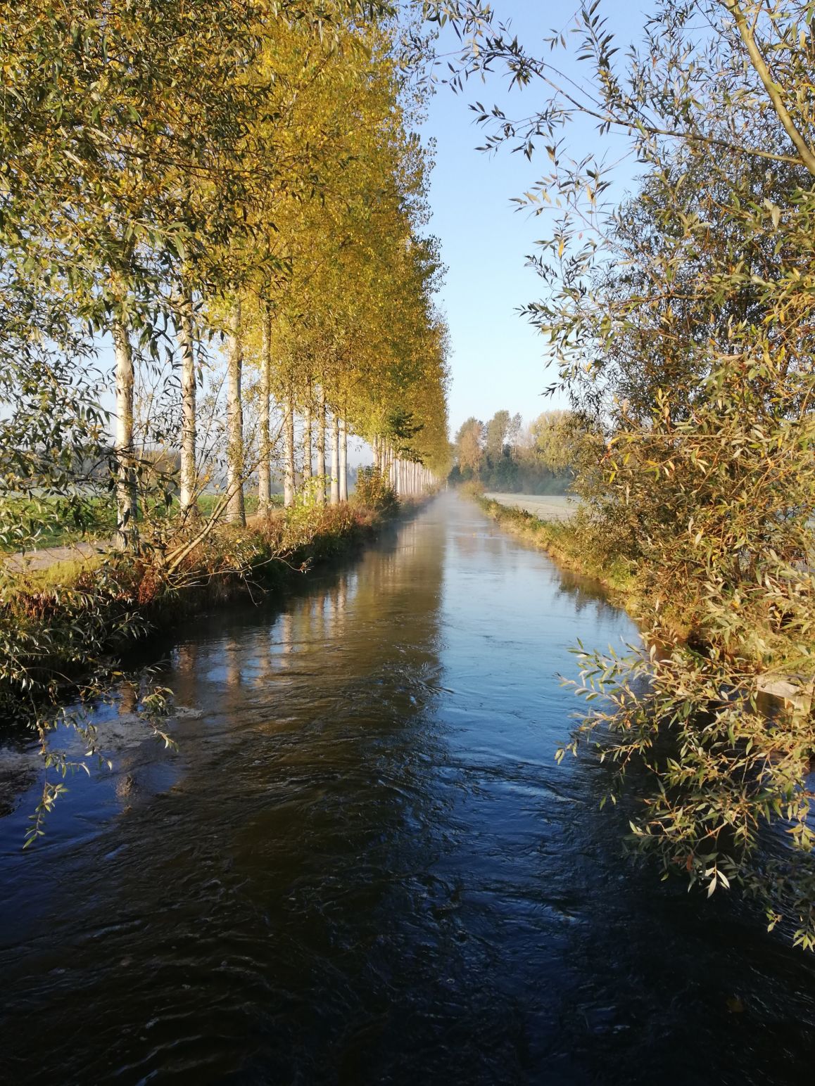 Am Boker Kanal am Morgen | Regina Brauckmann